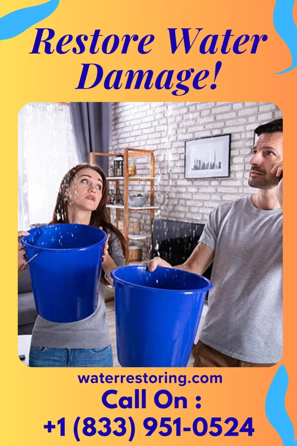 water restoration Titan Water Removal Partners Palm Bay